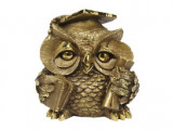 МК1127 Ученая сова