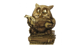 МК1128 Умная сова