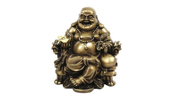 МК1070 Хотей в кресле