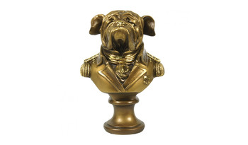 МК1095 Настоящий полковник