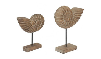 М-8541 Набор декоративный Раковины (Secret De Maison)