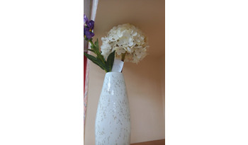 Гортензия белая  (цветок)