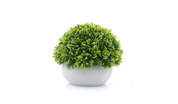 Растение в п/круглом горшке (вид2)