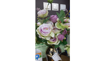 Роза пионовидная (цветок)