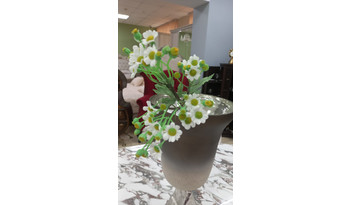 Ромашка (мелкие цветочки)