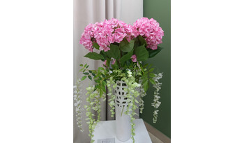 Гортензия Гранд