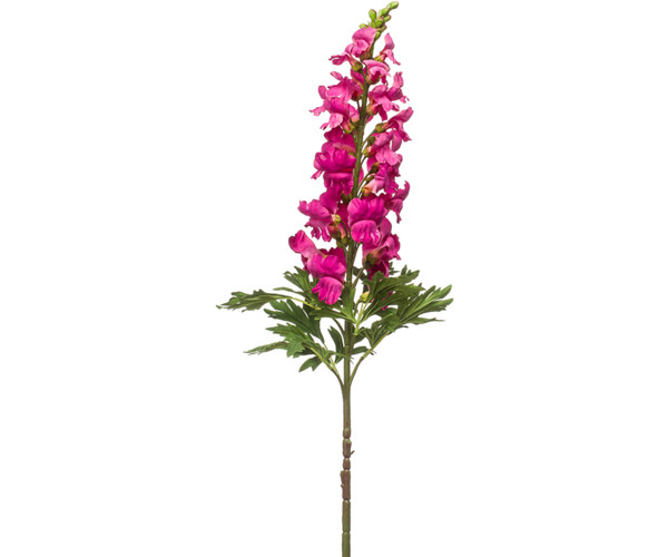 Львиный зев (иск.цветок)