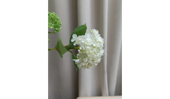 Гортензия белая (иск.цветок)