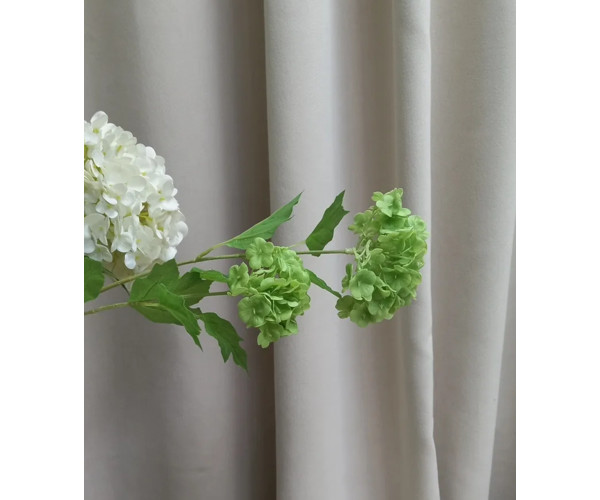 Калина, 2 соцветия